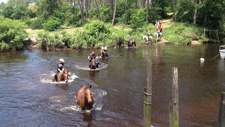 France-Landes-Riding Clinic in Southwestern France